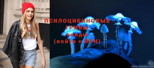 PSILOCYBIN Верхний Тагил