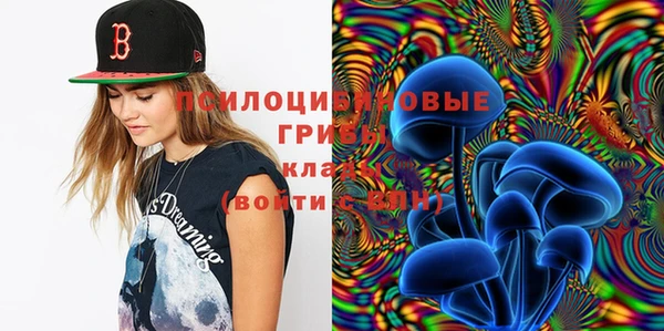 ECSTASY Волосово