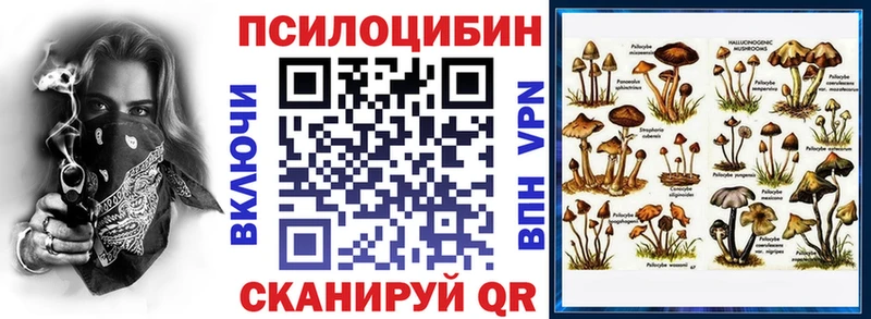 Галлюциногенные грибы прущие грибы  Кашин 